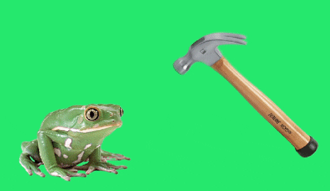 hammer frog.gif