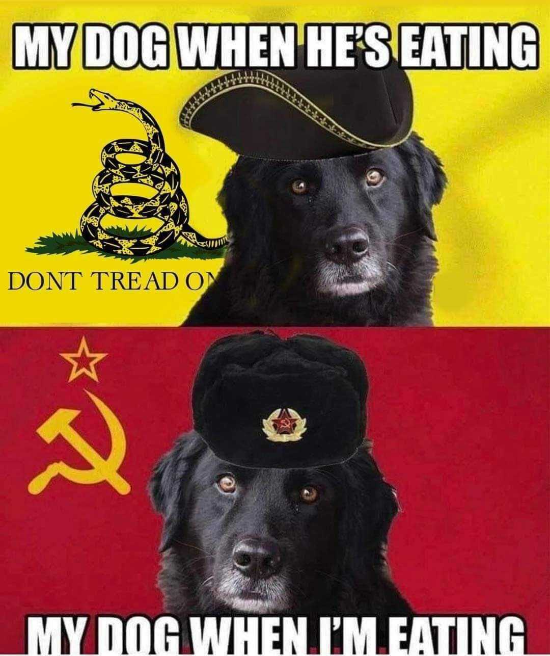 my_dog_on_capitalism