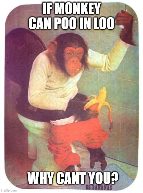 monkey poo.jpg