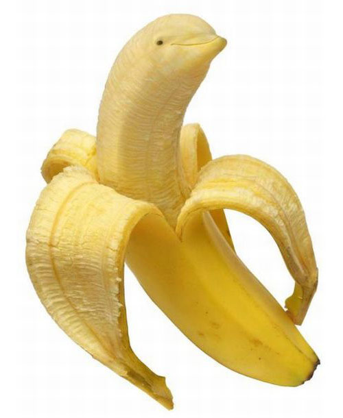 animal morph food fruit dolphin banana.jpg